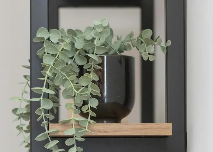 Szczecinski Kwiatkowskiego W Spokojnej Okolicy By Renters Szczecin